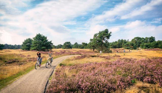 Sfeervol Chalet Op De Veluwe プッテン エクステリア 写真