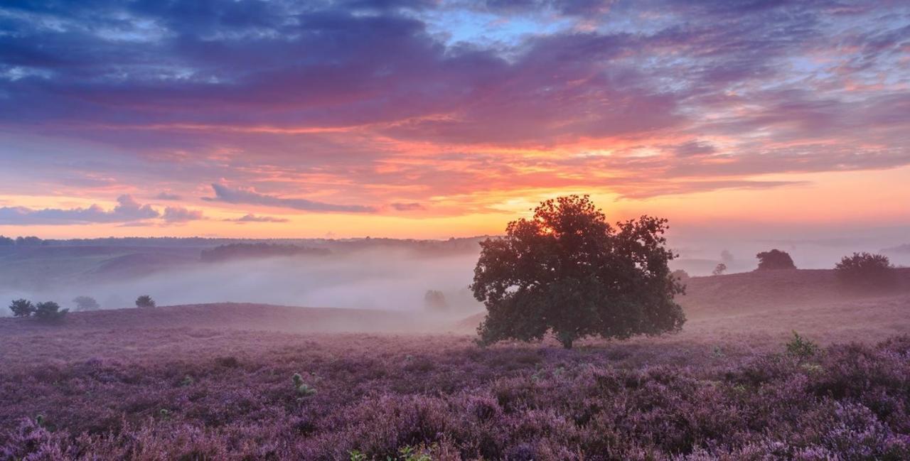 Sfeervol Chalet Op De Veluwe プッテン エクステリア 写真